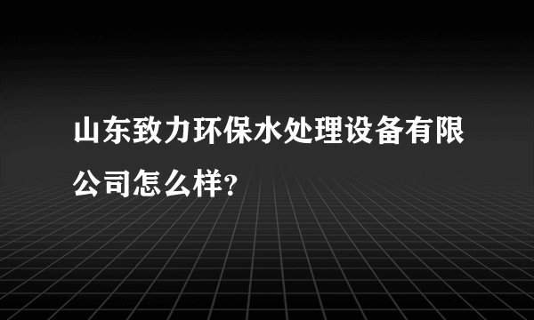 山东致力环保水处理设备有限公司怎么样？