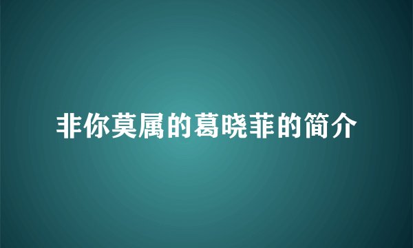 非你莫属的葛晓菲的简介