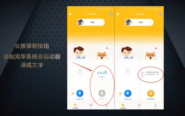 怎么使用狗狗语言翻译器呢