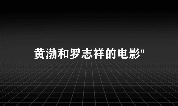黄渤和罗志祥的电影