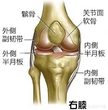 女子为步数排行每天暴走万步,3个月后膝盖出问题,你怎么看待这种问题?