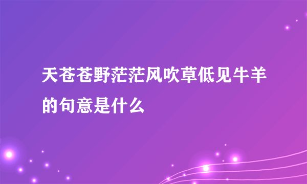 天苍苍野茫茫风吹草低见牛羊的句意是什么