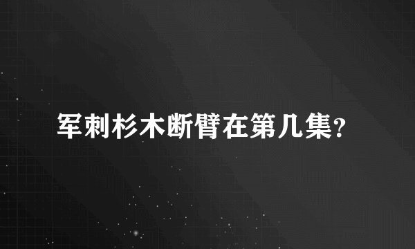 军刺杉木断臂在第几集？