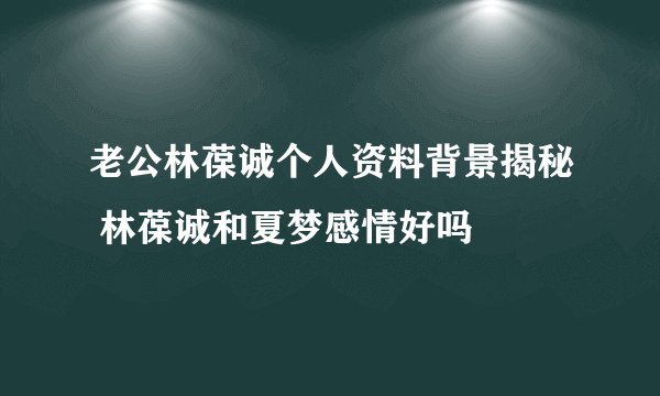 老公林葆诚个人资料背景揭秘 林葆诚和夏梦感情好吗
