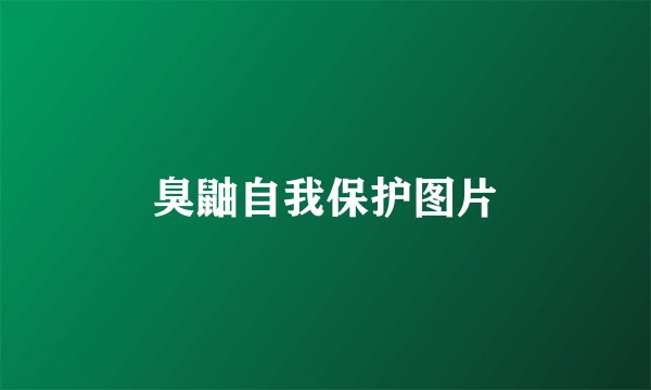 臭鼬自我保护图片