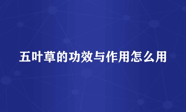 五叶草的功效与作用怎么用