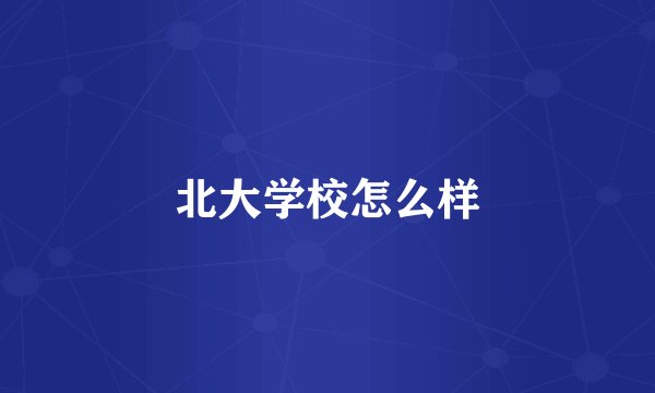 北大学校怎么样