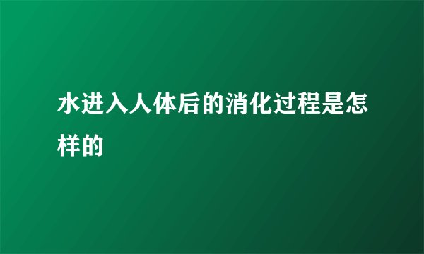 水进入人体后的消化过程是怎样的
