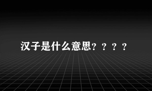 汉子是什么意思？？？？