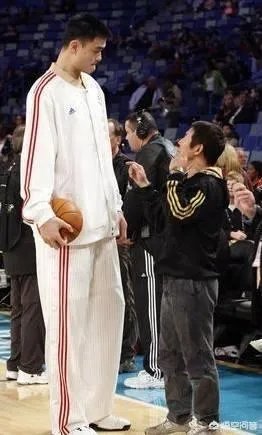 你觉得NBA球星和姚明一起合影会是什么效果?