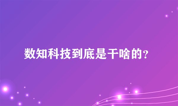 数知科技到底是干啥的？