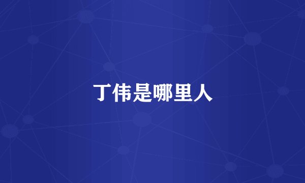 丁伟是哪里人