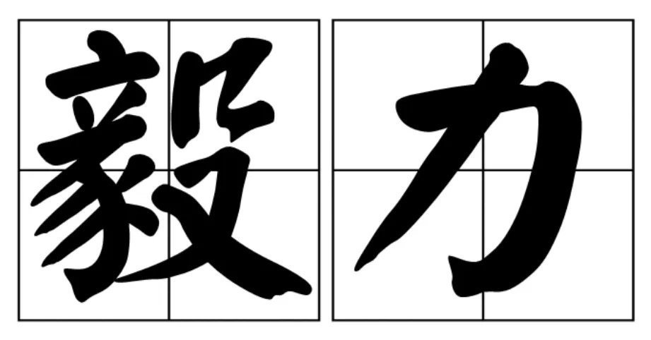 毅力的意思