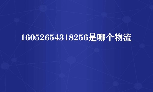 16052654318256是哪个物流