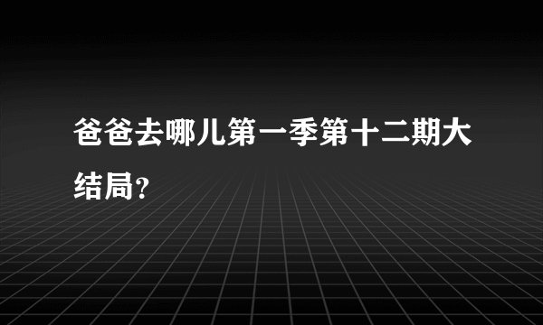 爸爸去哪儿第一季第十二期大结局？