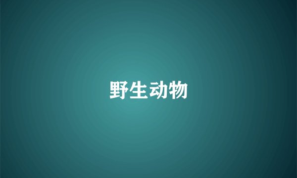 野生动物