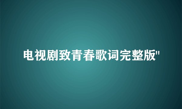 电视剧致青春歌词完整版
