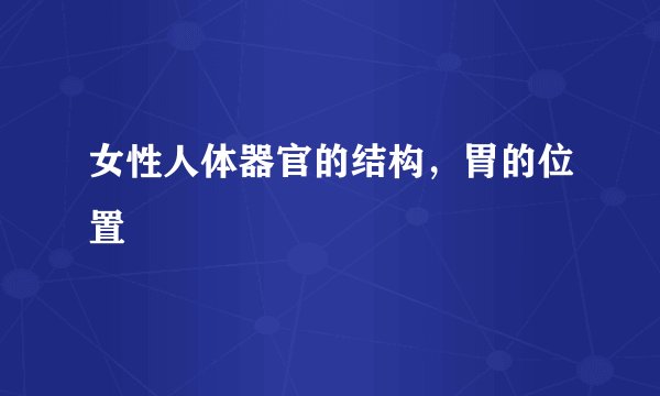 女性人体器官的结构，胃的位置