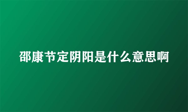 邵康节定阴阳是什么意思啊