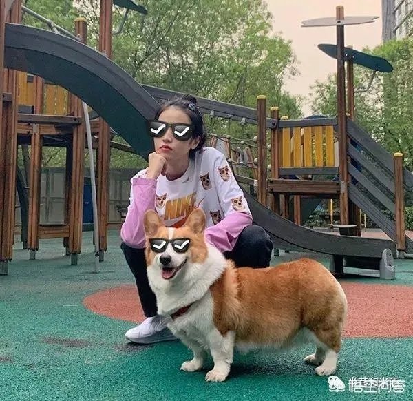 说说你心目中最会穿衣打扮的明星?