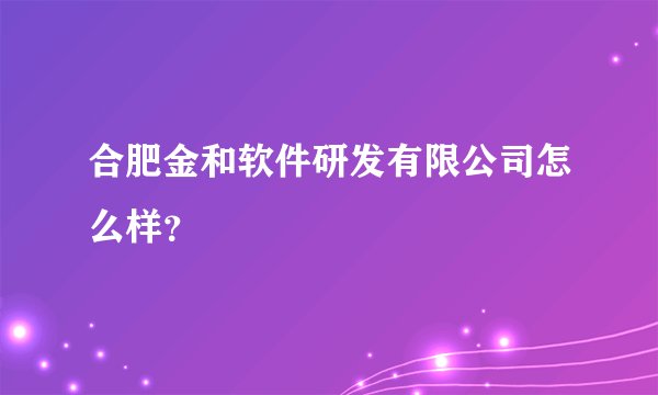 合肥金和软件研发有限公司怎么样？