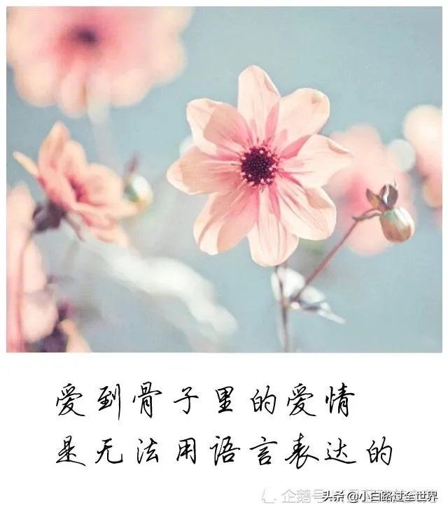 友情和爱情哪个更重要?