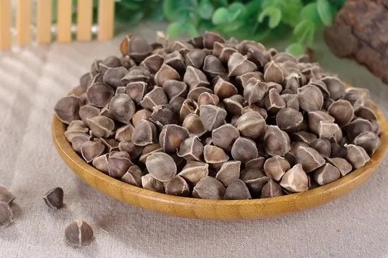 辣木的功效与作用及食用方法