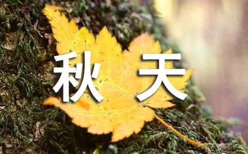 描写秋天的风景诗句