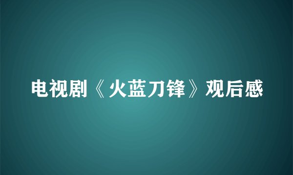 电视剧《火蓝刀锋》观后感