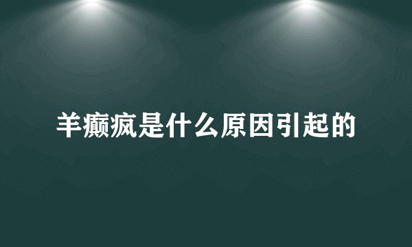 羊癫疯是什么原因引起的