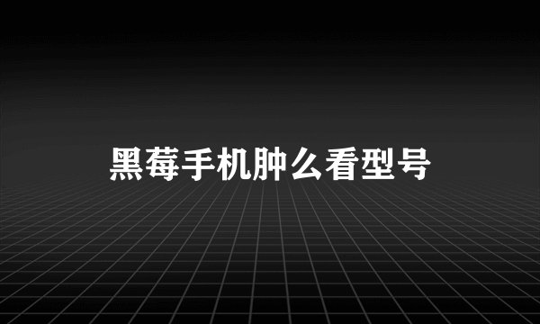黑莓手机肿么看型号