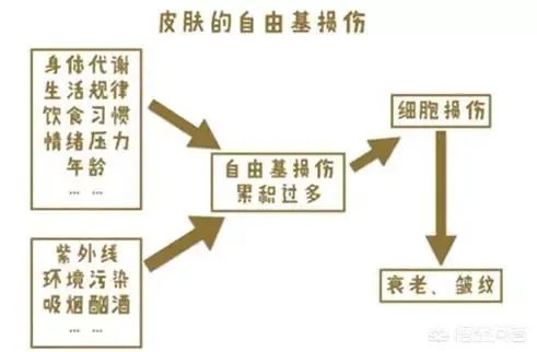 老年斑是怎么回事?
