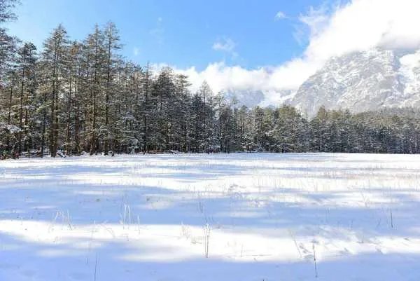 忽然下的一场雪飘得那么纯洁是哪首歌的歌词？