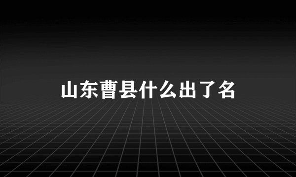 山东曹县什么出了名