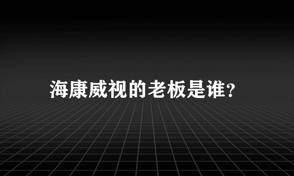 海康威视的老板是谁?
