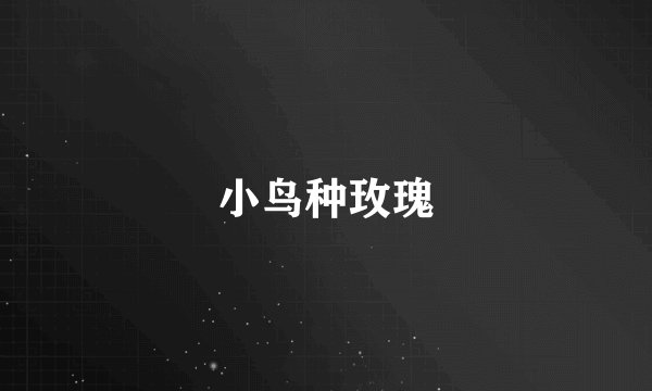 小鸟种玫瑰