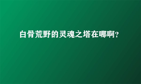 白骨荒野的灵魂之塔在哪啊？