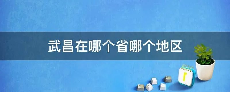 武昌在哪个省哪个地区