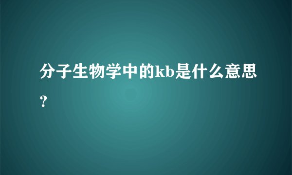 分子生物学中的kb是什么意思?