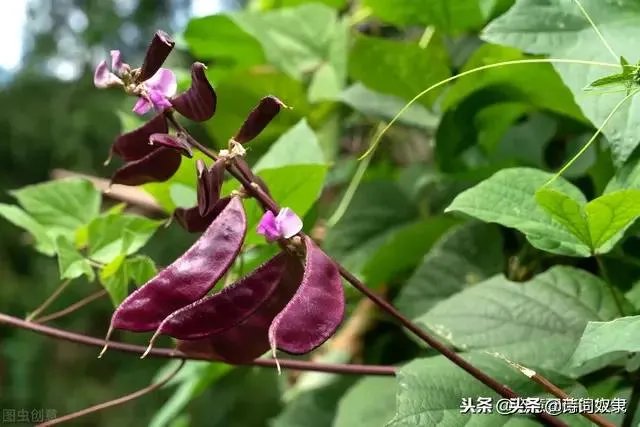 人在世上,最难面对的事是什么?