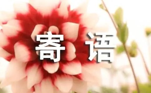 个性留言板寄语