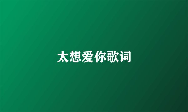 太想爱你歌词