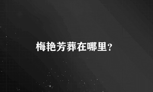 梅艳芳葬在哪里？