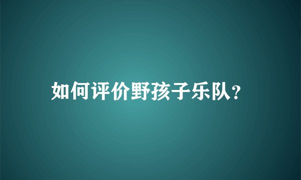 如何评价野孩子乐队?