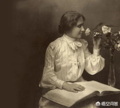 哪些犬种在原产国享有“国宝”的美誉?