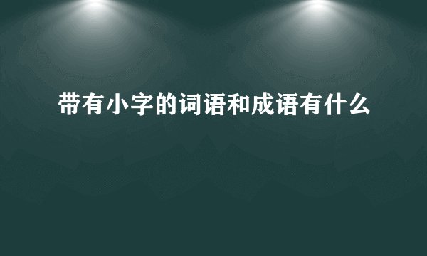 带有小字的词语和成语有什么