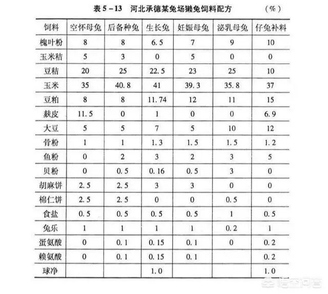 家兔养殖用什么饲料最好?