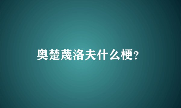 奥楚蔑洛夫什么梗？