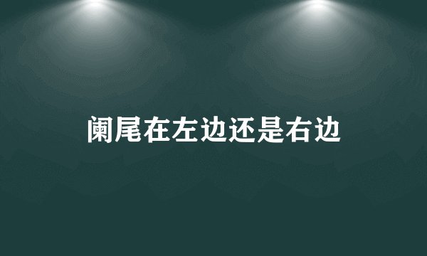 阑尾在左边还是右边