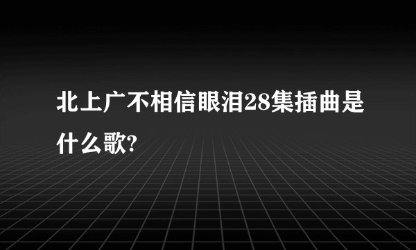 北上广不相信眼泪28集插曲是什么歌?